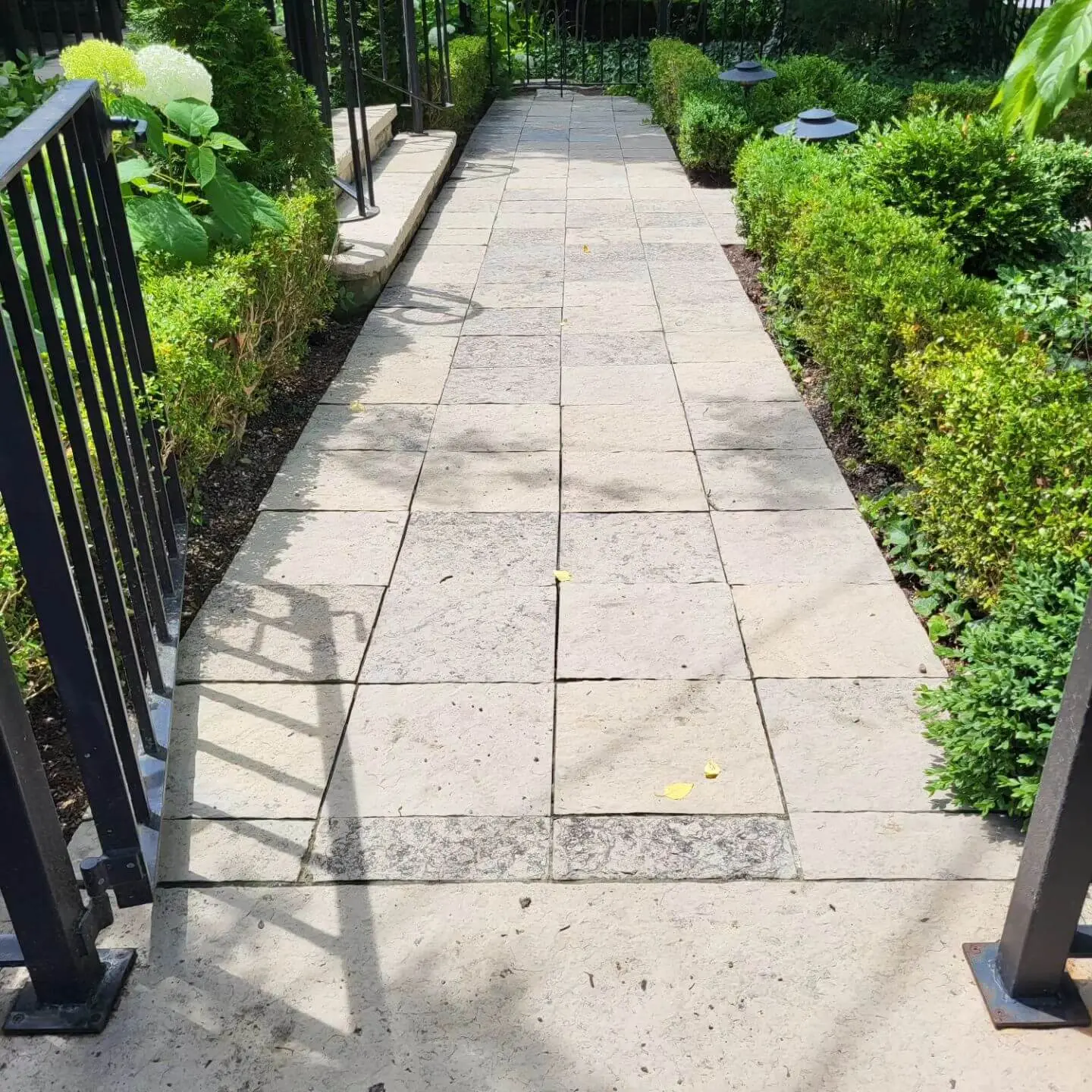 Stone pathway bordered by manicured hedges and black iron railings, leading to an entry gate.