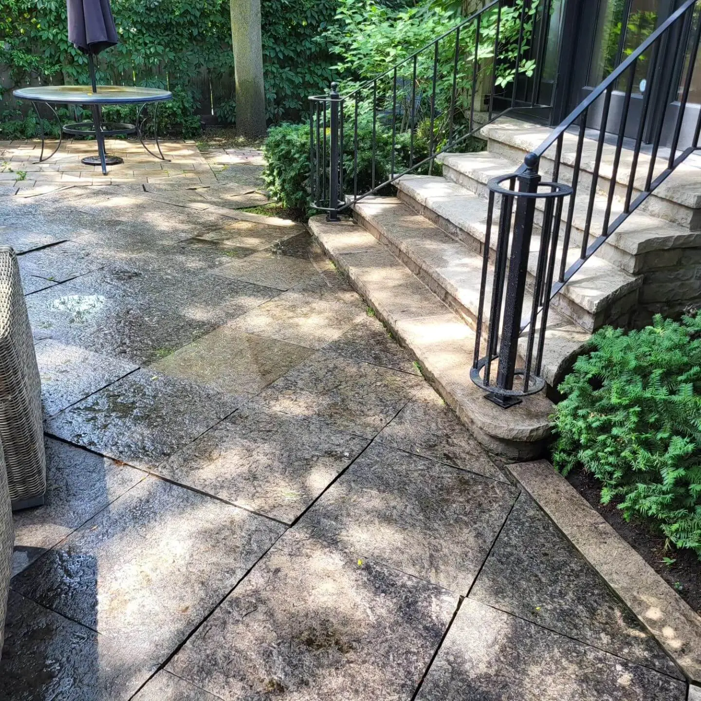 Outdoor patio with wet stone tiles and steps leading to a raised entry, featuring black railings and garden plants. Outdoor patio with wet stone tiles and steps leading to a raised entry, featuring black railings and garden plants.